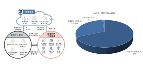 稀缺標的港股上市 醫學影像第一股邁入高增長，互聯網數據服務助力新篇章